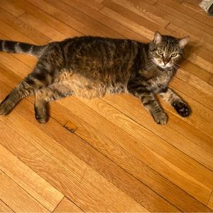 Meet your Posher, Shaye